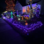 Highlights img 3844