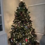 Highlights img 4067
